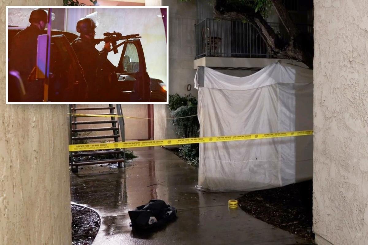 Off-duty ICE agent gunned down 'active shooter' neighbor