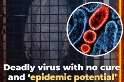 Deadly virus with no cure and ‘epidemic potential’ prompts airports to introduce Covid-style checks