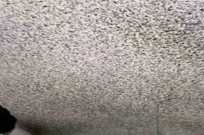 ALERT EVERYONE One Hour Ago Mhoni Vidente WARNED…See more.