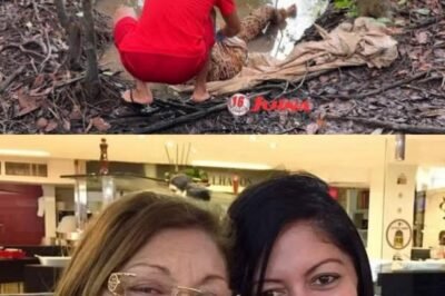 Hidden Dangers in Your Mouth: Early Signs of Oral…