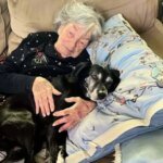 While My Family Fought Over Grandma Will, I Was the Only One Who Took Her Beloved Dog and Discovered the Secret She Left Behind!