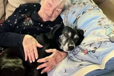 While My Family Fought Over Grandma Will, I Was the Only One Who Took Her Beloved Dog and Discovered the Secret She Left Behind!