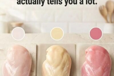 It’s surprising that the connection between chicken color and quality is still unclear to some