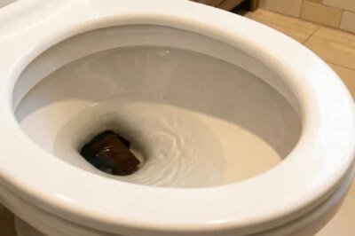 The Hidden Reason Snakes Can Appear In Toilets And How To Stay Safe