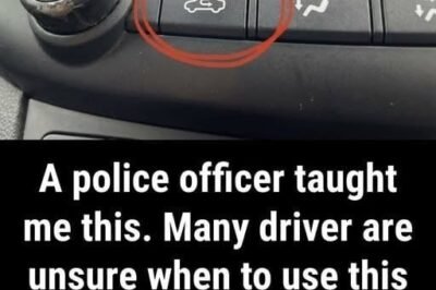 What Does the Air Recirculation Button in Your Car Actually Do? (And When to Use It!)