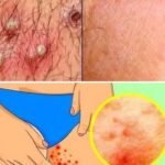 These are clear signs that he is in trouble—when swollen feet point to circulation problems, fluid retention, inflammation, or other health concerns that shouldn’t be ignored, urging attention, monitoring, and a medical check-up to uncover what’s really going on beneath the surface