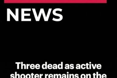 Lake Cargelligo Incident: Police Search for Suspect After Multiple Fatalities in Central West NSW