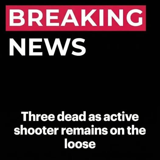 Lake Cargelligo Incident: Police Search for Suspect After Multiple Fatalities in Central West NSW