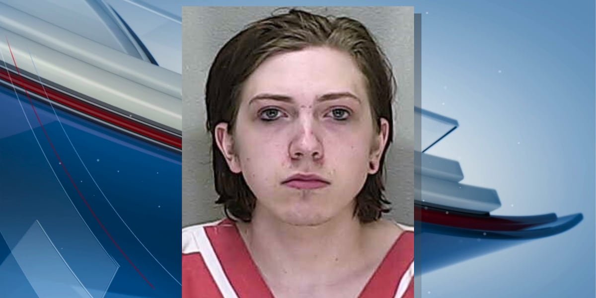 Ocala man arrested for posessing AI generated porn of child actresses, deputies say