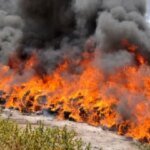 Officials Burn 3 Tons Of Cannabis, Didn’t Think It All The Way Through