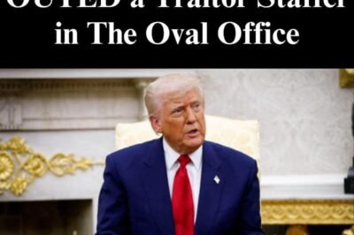 Clearances Revoked, Secrets Exposed