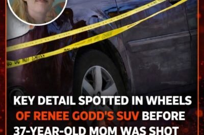 Key detail spotted in wheels of Renee Good’s SUV before 37-year-old