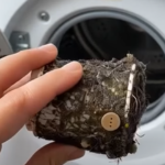 Modern domestic life is often a symphony of auto