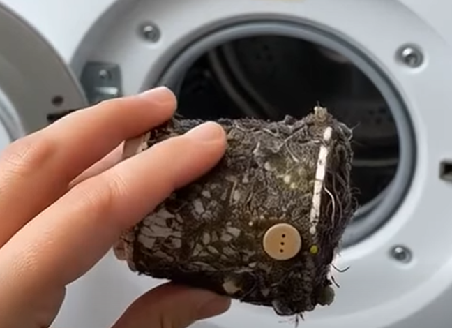 Modern domestic life is often a symphony of auto