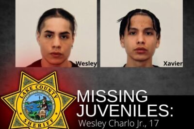 Two teenage brothers missing out of Lake County