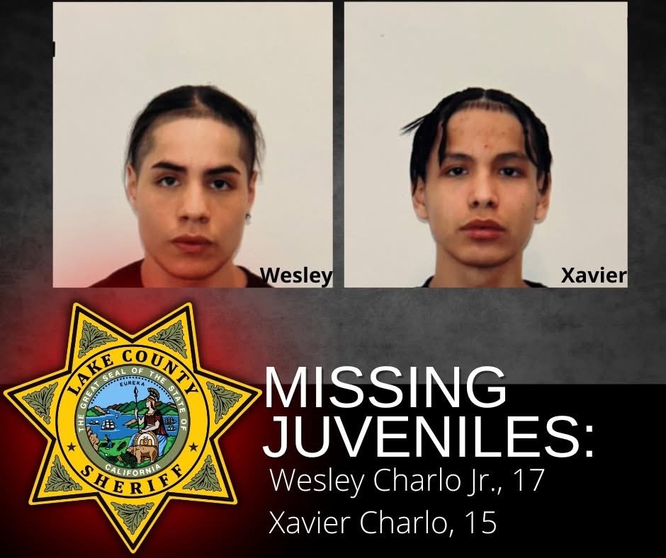 Two teenage brothers missing out of Lake County