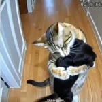 Cat Brings Home Puppies — Then a Policeman Knocks at the Door