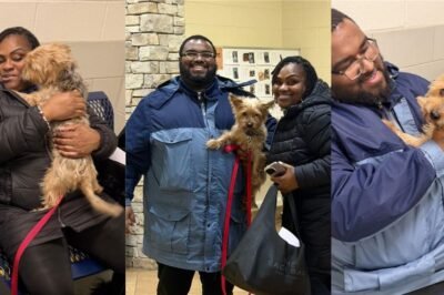 Maryland family reunited with pup missing for 3 years