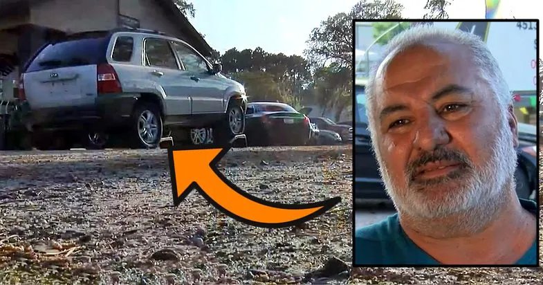 Thief Sneaks In Car Dealership, Owner Finds Gruesome Remains