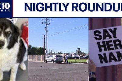 Dead dog, suspected DUI crash involving teen prompts investigations | Nightly Roundup