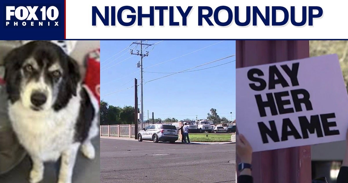 Dead dog, suspected DUI crash involving teen prompts investigations | Nightly Roundup