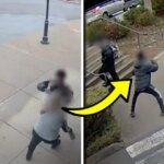 VIDEO: 13-Year-Old Accused Of Attacking Woman Kisses Concrete