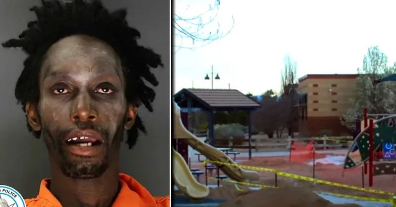 Sex Offender Approaches School Kids Who Scatter And Scream