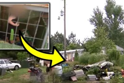 Toddler Found Living In Cage In Filthy Trailer With 10′ Boa Constrictor