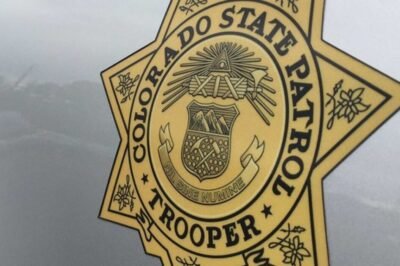 Semitruck driver dies in late-Wednesday night multi-vehicle crash near OK border