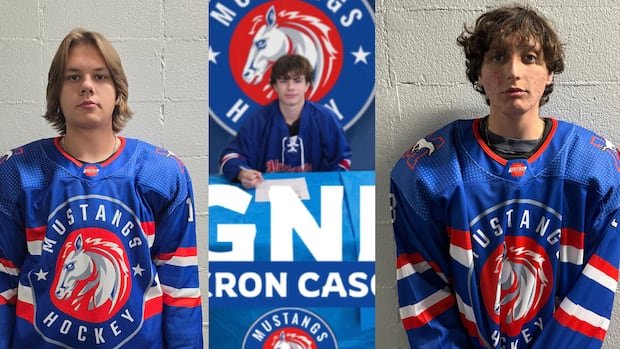 'Heartbreaking day' for hockey community after 3 junior players killed in Alberta crash