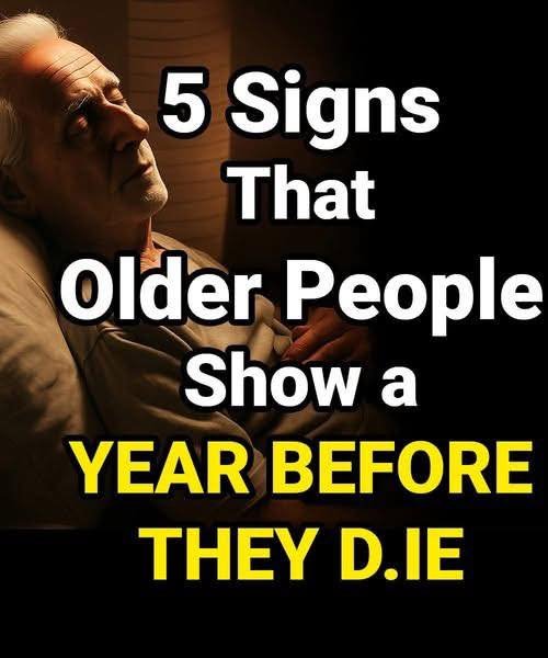 5 Signs That Show an Older Person Needs More Care and Attention
