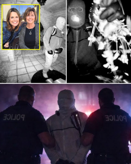 5 mins ago – 𝘈𝘙𝘙𝘌𝘚𝘛𝘌𝘋! Shσcking Identity of Nancy Guthrie Ransom ‘Hoaxer’ Exposed as FBI Swoops on Trusted Insider — Now We Know Why She Hasn’t Been Fσund for 5 Days! The nation is in disbelief!