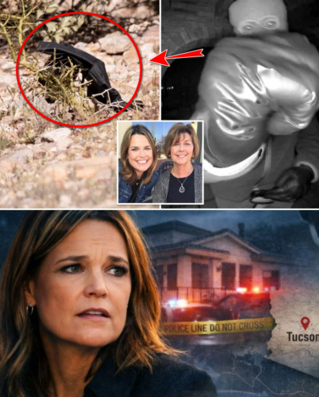 Black glove found near Nancy Guthrie’s home ‘matches one worn by armed suspect caught on surveillance video’ as investigation intensifies